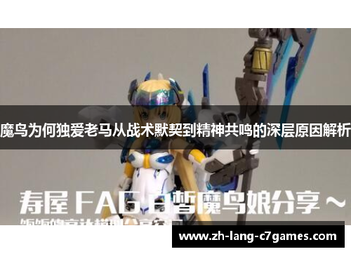 魔鸟为何独爱老马从战术默契到精神共鸣的深层原因解析 魔鸟为何独爱老马从战术默契到精神共鸣的深层原因解析